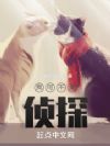 我可不是侦探
