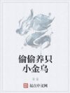 偷偷养只小金乌